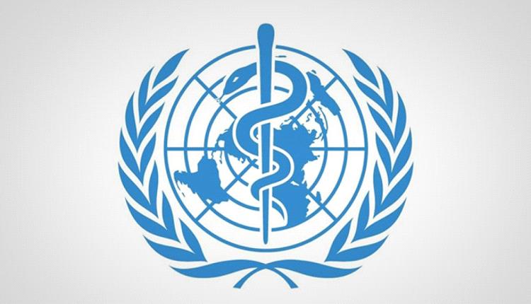 منظمة دولية تحذر من انتشار الملاريا باليمن 
