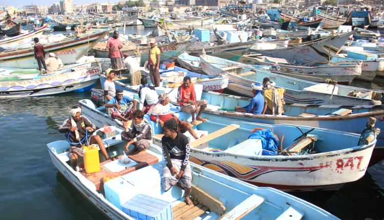 القديمي: أزمة البحر الأحمر تهدد آلاف الصيادين بالجوع والموت

