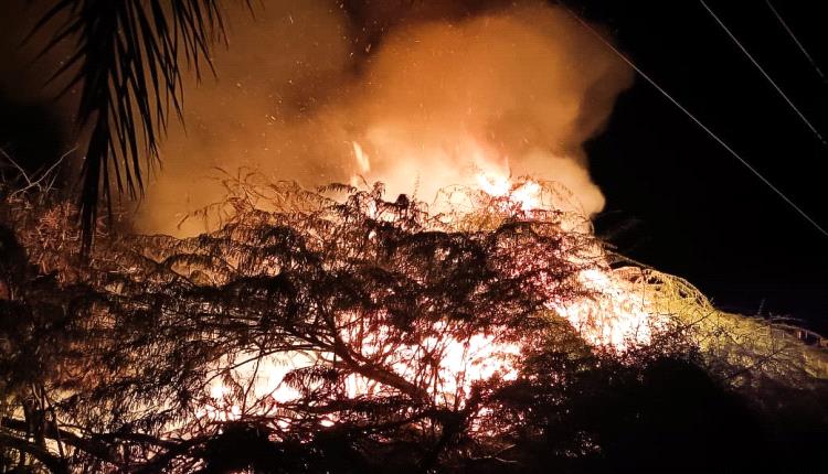 حريق في أشجار السيسبان بمنطقة ظلومة يتسبب في قطع الخط العام المكلا - عدن