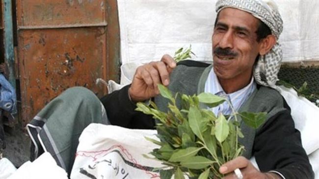 ضبط طيار يمني حاول تهريب 3 كجم من نبات القات بمطار القاهرة