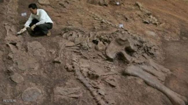 اكتشاف حفرية نوع نادر من الديناصورات في تونس