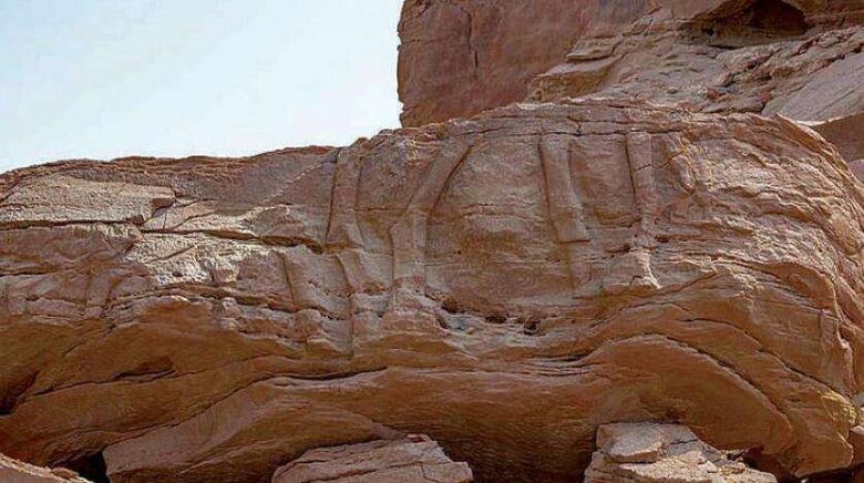 أقدم موقع في العالم لنحت الحيوانات المجسمة بالحجم الطبيعي في الجوف بالسعودية