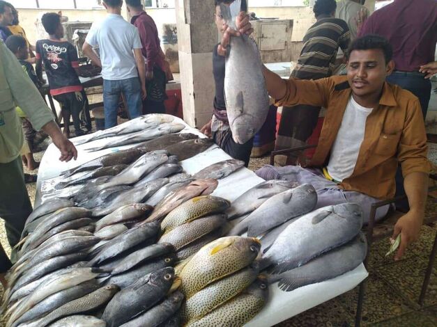 بعد غلاء سعره.. المواطنون يحرمون من تذوق الأسماك (تقرير)