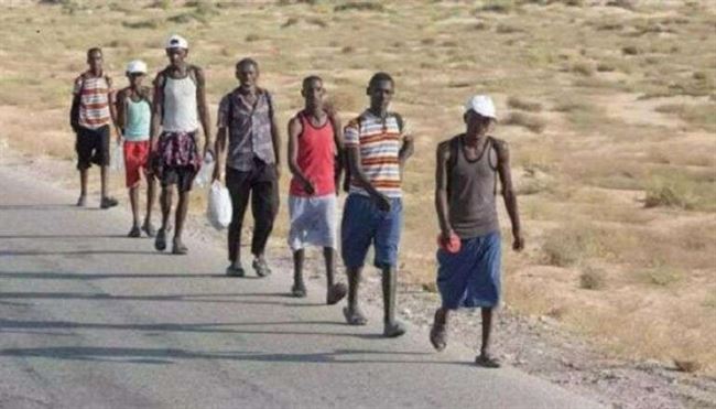 الحوثي يقمع الاجئين الأفارقة.. ترحيل قسري بعد نقل الألغام